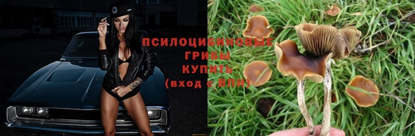 a pvp Киреевск