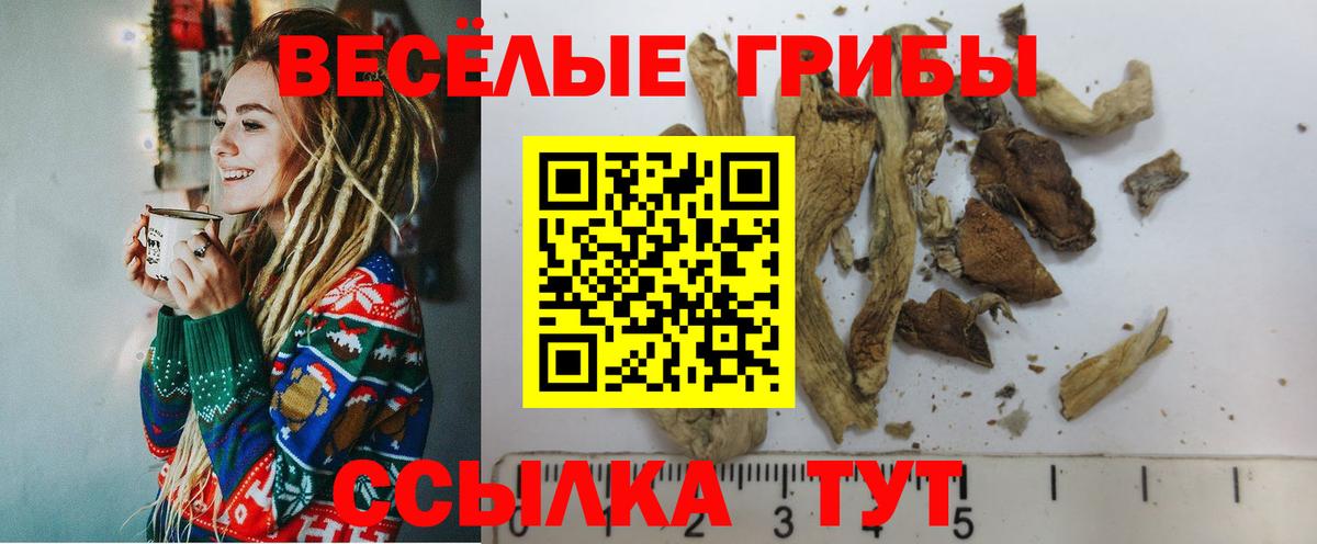 A-PVP Электрогорск