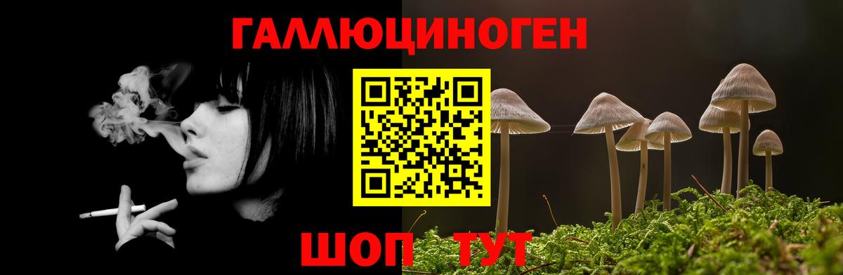 Электрогорск  Псилоцибиновые грибы мухоморы  Вход с VPN 